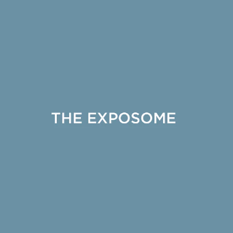 WHAT IS THE EXPOSOME ?
