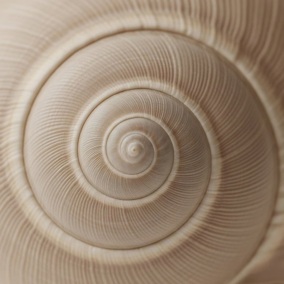 Helix Aspersa Extract